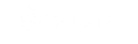 taurus-armas